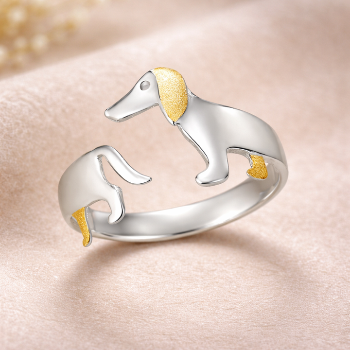 Ρυθμιζόμενο ασημένιο δαχτυλίδι